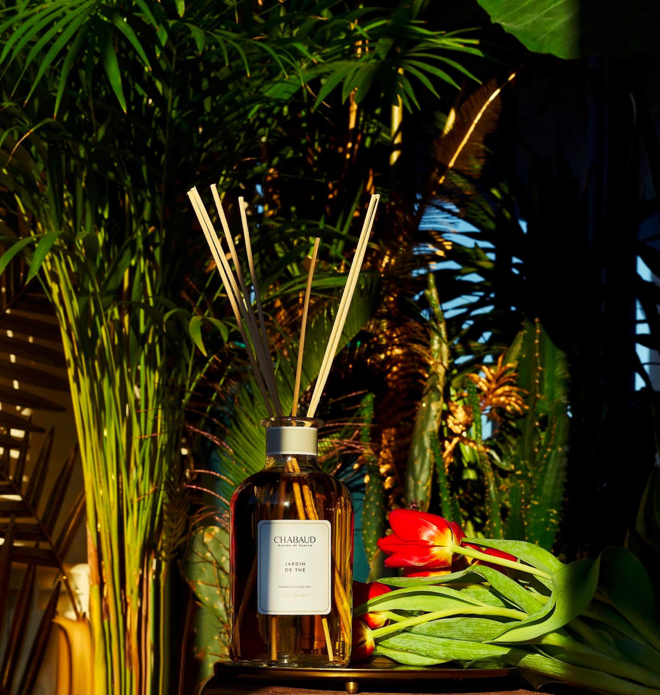 Parfum Diffuser Diffusers | Collection | Chabaud Parfum